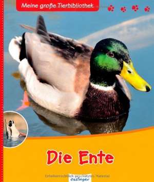 Die Ente de Pascale Hédelin