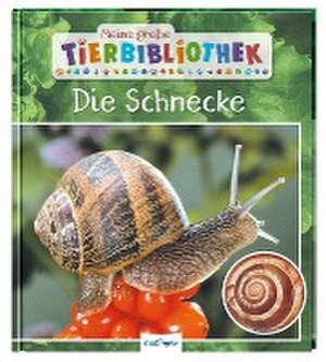 Meine große Tierbibliothek: Die Schnecke de Paul Starosta