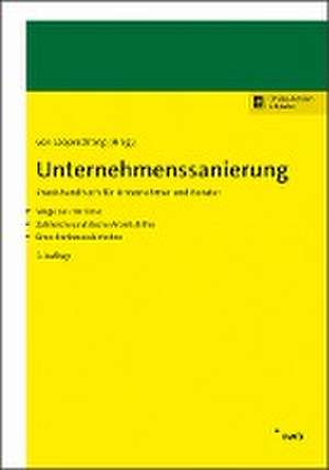 Unternehmenssanierung de Hartmut Brandt