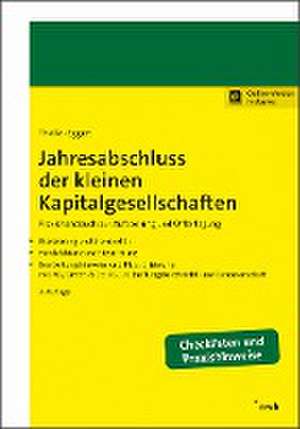 Jahresabschluss der kleinen Kapitalgesellschaften de Carsten Theile