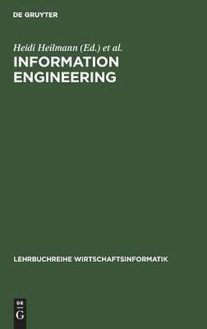 Information Engineering: Wirtschaftsinformatik im Schnittpunkt von Wirtschafts-, Sozial- und Ingenieurwissenschaften de Heidi Heilmann