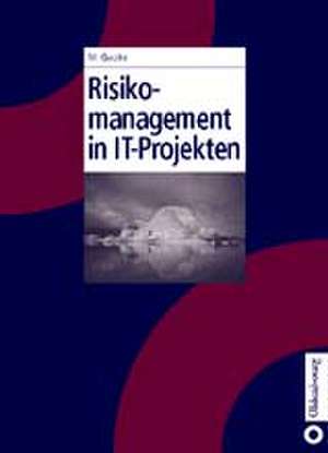 Risikomanagement in IT-Projekten de Markus Gaulke