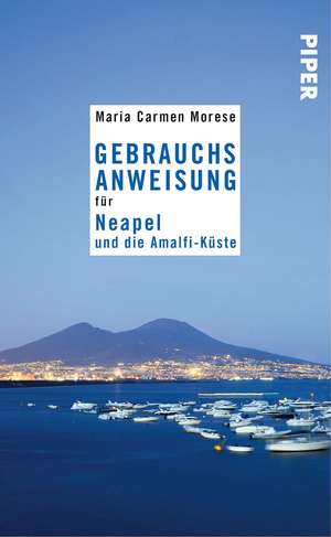 Gebrauchsanweisung für Neapel und die Amalfi-Küste de Maria Carmen Morese