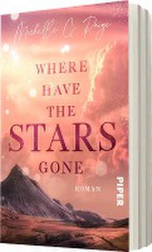 Where have the Stars gone de Michelle C. Paige