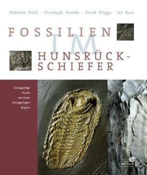 Fossilien im Hunsrück Schiefer de Gabriele Kühl