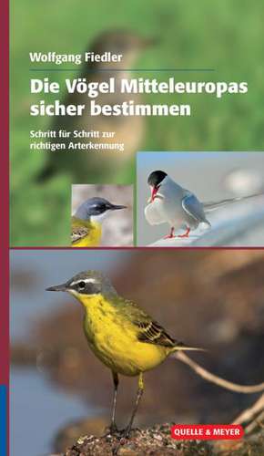 Die Vögel Europas sicher bestimmen de Wolfgang Fiedler