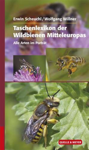 Taschenlexikon der Wildbienen Mitteleuropas de Erwin Scheuchl