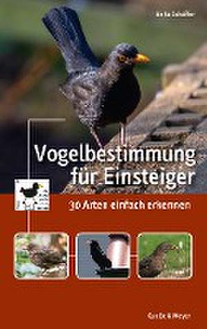 Vogelbestimmung für Einsteiger de Anita Schäffer