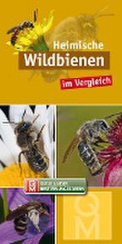 Heimische Wildbienen de Quelle & Meyer Verlag