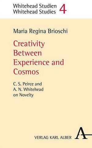 Creativity Between Experience and Cosmos de Maria Regina Brioschi