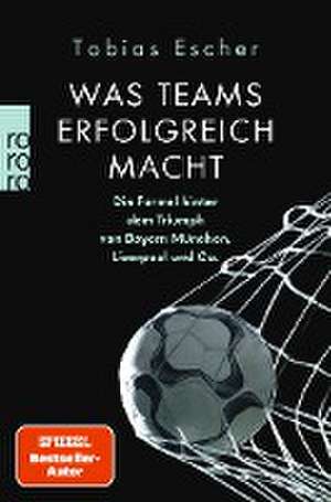 Was Teams erfolgreich macht de Tobias Escher