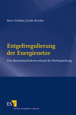 Entgeltregulierung der Energienetze de Boris Scholtka