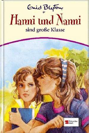 Hanni und Nanni 17: Hanni und Nanni sind große Klasse de Enid Blyton