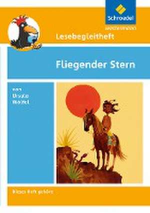 Titel Fliegender Stern. Lesebegleitheft de Michael Kirch