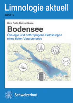 Bodensee de Hans Güde