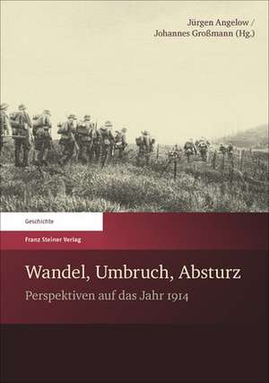 Wandel, Umbruch, Absturz de Jürgen Angelow