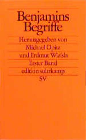 Benjamins Begriffe de Michael Opitz