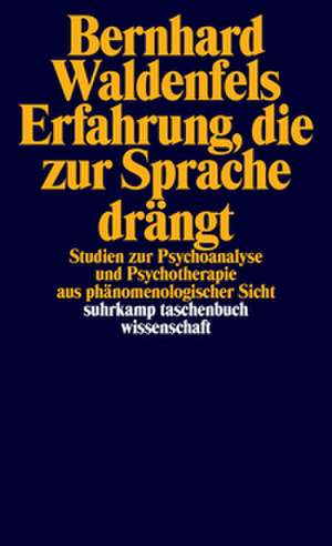 Erfahrung, die zur Sprache drängt de Bernhard Waldenfels