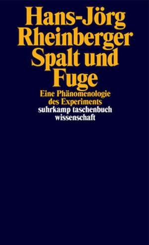 Spalt und Fuge de Hans-Jörg Rheinberger