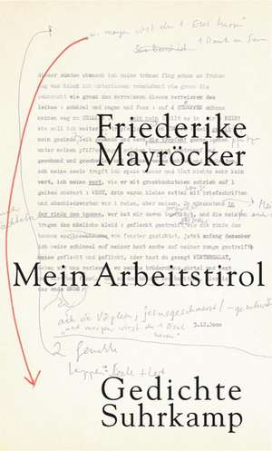 Mein Arbeitstirol de Friederike Mayröcker