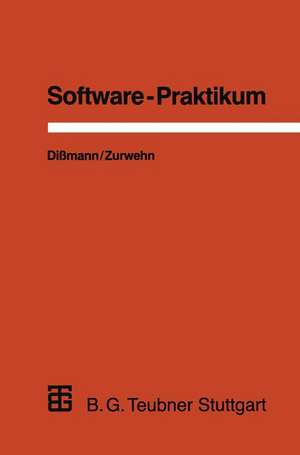 Software-Praktikum: Ein praxisorientiertes Vorgehen zur Software-Erstellung de Stefan Dißmann