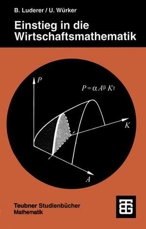 Einstieg in die Wirtschaftsmathematik de Uwe Würker