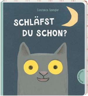 Schläfst du schon? de Constanze Spengler