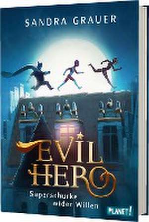 Evil Hero de Sandra Grauer