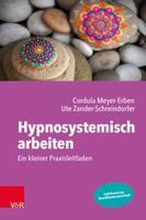 Hypnosystemisch arbeiten: Ein kleiner Praxisleitfaden de Ute Zander-Schreindorfer