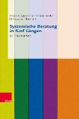 Systemische Beratung in fünf Gängen. Karten de Helga Brüggemann