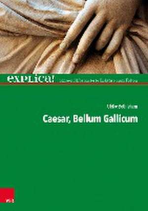 Cäsar, Bellum Gallicum de Ulrike Bethlehem