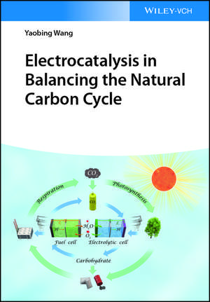 Electrocatalysis in Balancing the Natural Carbon Cycle de Y Wang