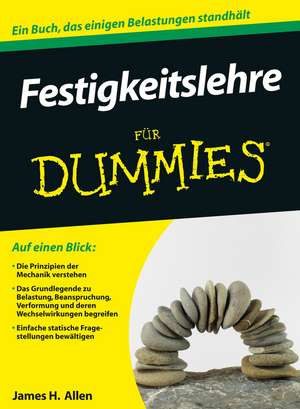 Festigkeitslehre für Dummies de JH Allen