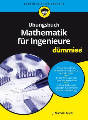 Übungsbuch Mathematik für Ingenieure für Dummies de JM Fried