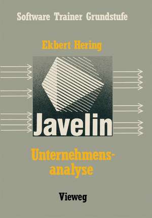 Unternehmensanalyse mit Javelin: Eine Einführung mit Fallbeispielen de Ekbert Hering