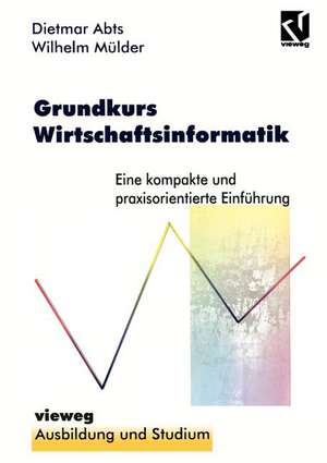 Grundkurs Wirtschaftsinformatik: Eine kompakte und praxisorientierte Einführung de Dietmar Abts