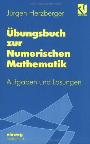 Übungsbuch zur Numerischen Mathematik: Typische Aufgaben mit ausgearbeiteten Lösungen zur Numerik und zum Wissenschaftlichen Rechnen de Jürgen Herzberger