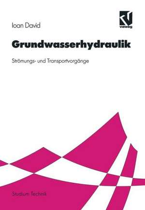 Grundwasserhydraulik: Strömungs- und Transportvorgänge de Ioan David