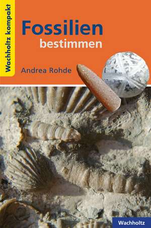 Fossilien bestimmen KOMPAKT de Andrea Rohde