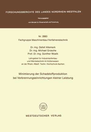 Minimierung der Schadstoffproduktion bei Verbrennungseinrichtungen kleiner Leistung de Detlef Altemark