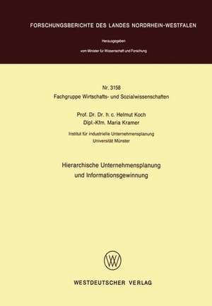 Hierarchische Unternehmensplanung und Informationsgewinnung de Helmut Koch