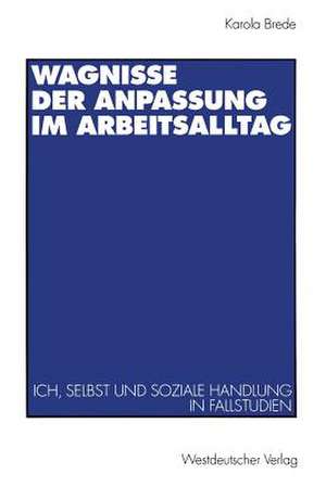 Wagnisse der Anpassung im Arbeitsalltag: Ich, Selbst und soziale Handlung in Fallstudien de Karola Brede