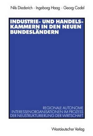 Industrie- und Handelskammern in den neuen Bundesländern: Regionale autonome Interessenorganisationen im Prozess der Neustrukturierung der Wirtschaft de Nils Diederich