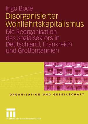 Disorganisierter Wohlfahrtskapitalismus: Die Reorganisation des Sozialsektors in Deutschland, Frankreich und Großbritannien de Ingo Bode