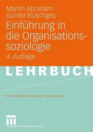 Einführung in die Organisationssoziologie de Martin Abraham