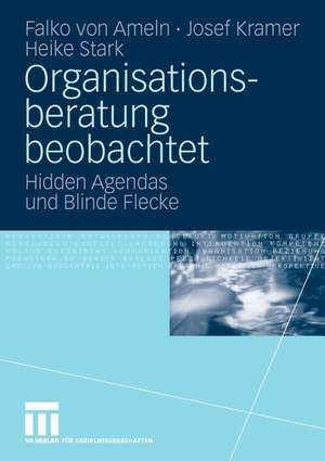 Organisationsberatung beobachtet: Hidden Agendas und Blinde Flecke de Falko Ameln