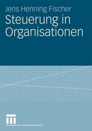 Steuerung in Organisationen de Jens Henning Fischer