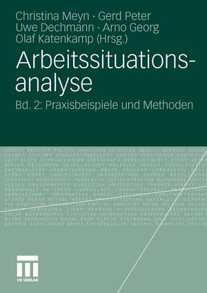 Arbeitssituationsanalyse: Bd. 2: Praxisbeispiele und Methoden de Christina Meyn