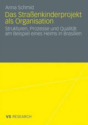 Das Straßenkinderprojekt als Organisation: Strukturen, Prozesse und Qualität am Beispiel eines Heims in Brasilien de Anna Schmid