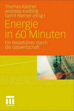 Energie in 60 Minuten: Ein Reiseführer durch die Gaswirtschaft de Thomas Kästner